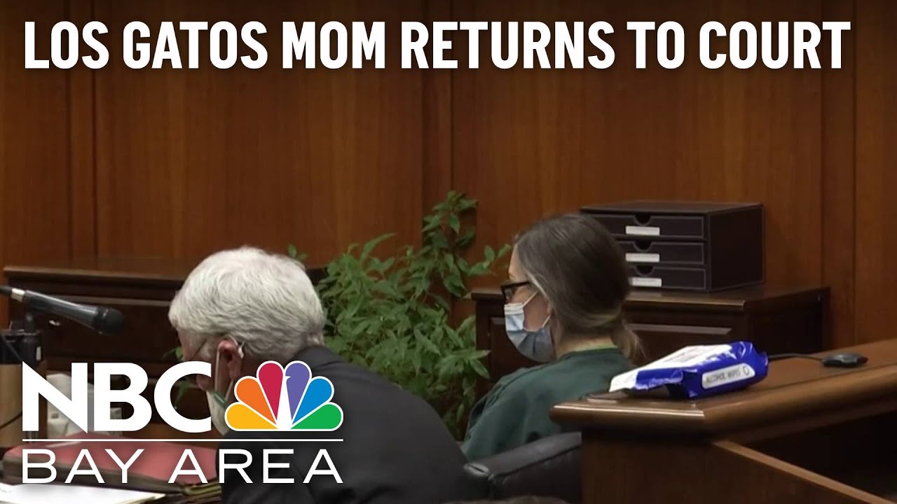 Los Gatos Mom Accused of Alcohol-Fueled Parties for Minors Returns to Court 1 Los Gatos Mom Accused Of Alcohol Fueled Parties For Minors Returns To Court