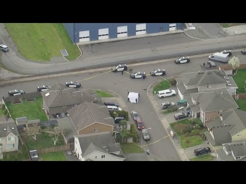Man Armed With Circular Saw During Domestic Dispute Shot, Killed By Kent Police