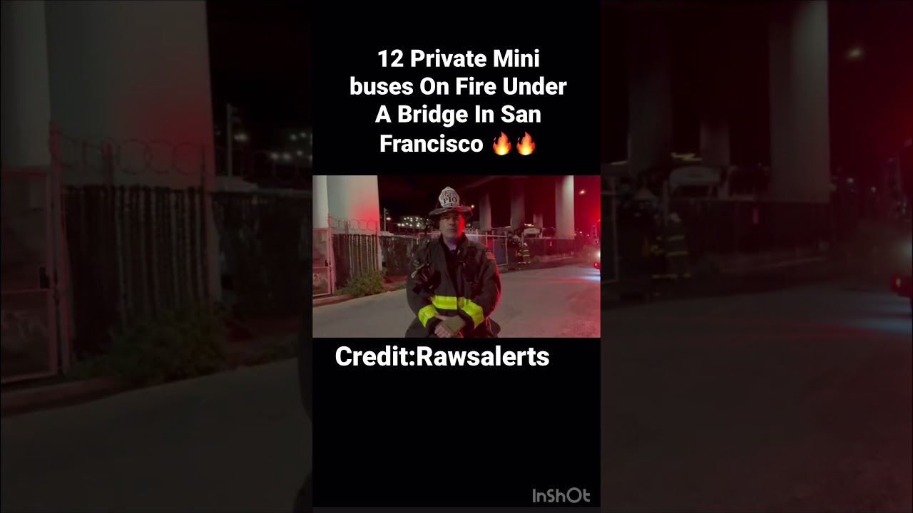 news san francisco mini buses on