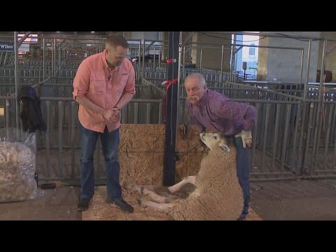 Oregon Agriculture Festival Kicks Off In Salem