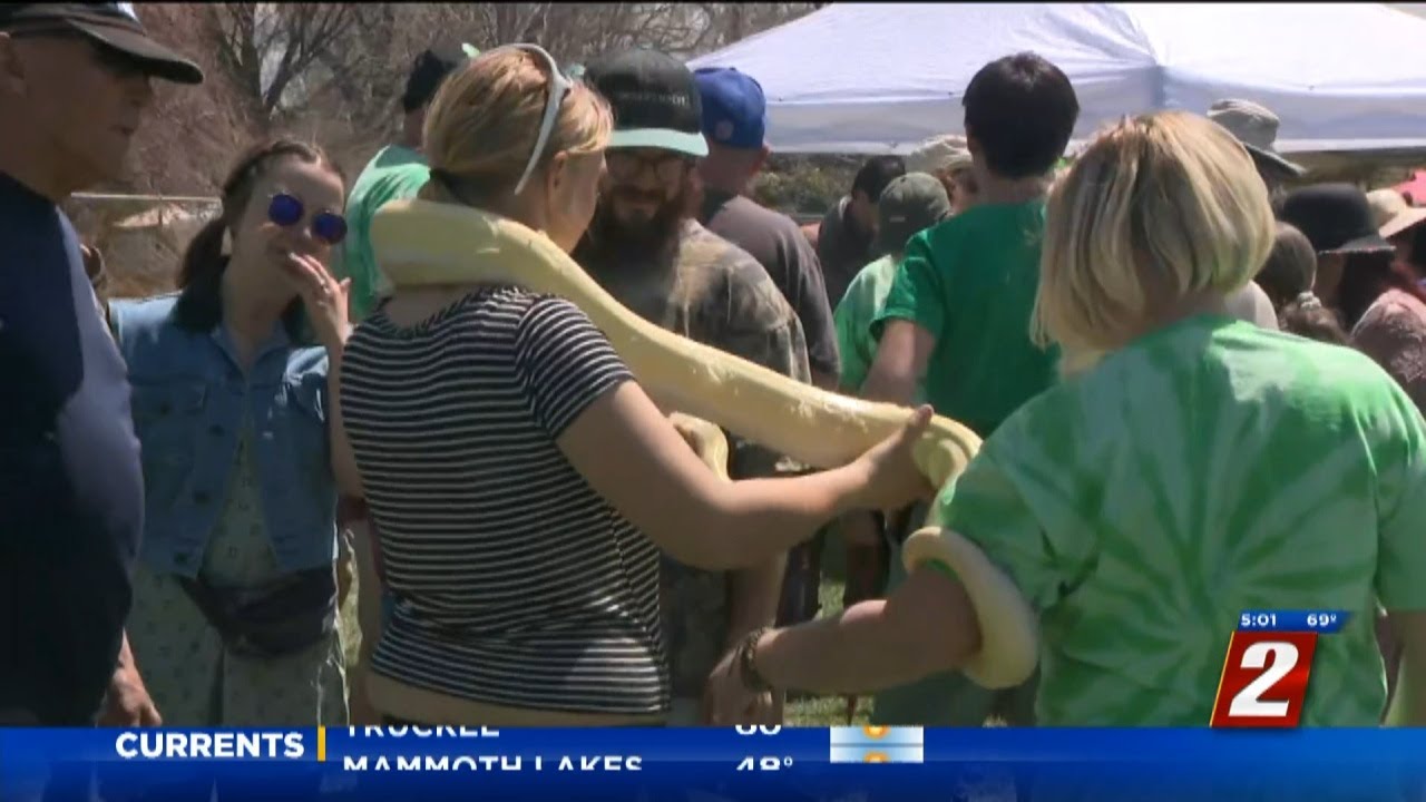 Reno Earth Day Celebration