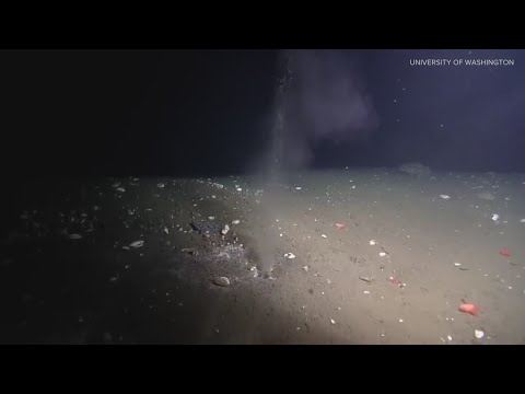 Researchers study warm liquid spewing from seafloor along Cascadia fault 1 Researchers Study Warm Liquid Spewing From Seafloor Along Cascadia Fault