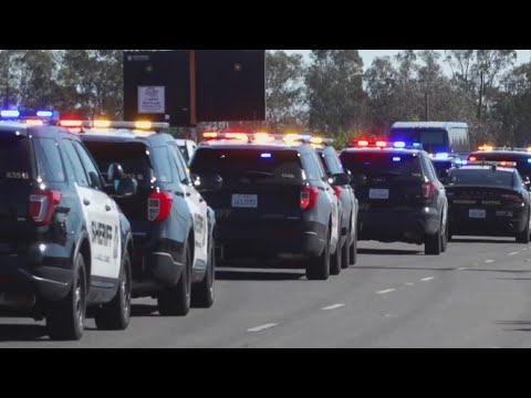 Sacramento County Sheriff’s Office Launches Psa To Reduce Crime