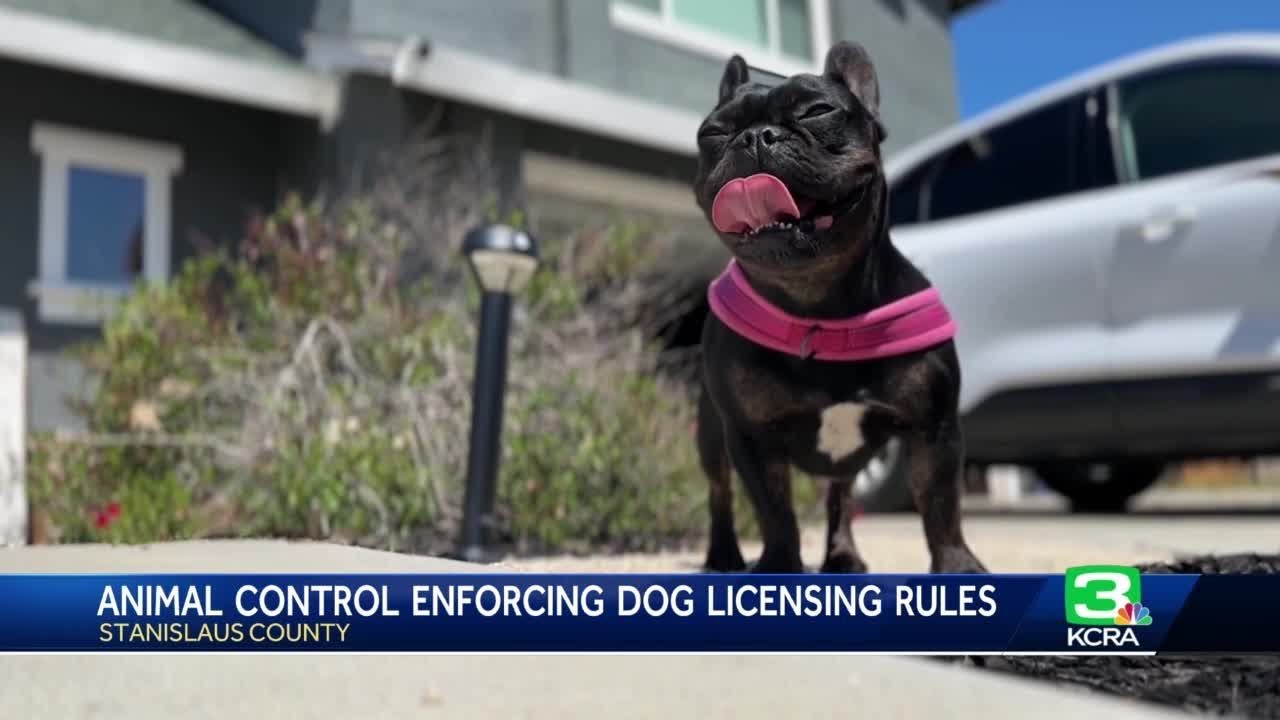 stanislaus county animal service