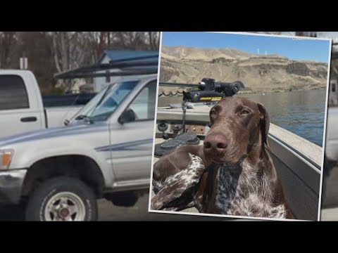the dalles family searching for