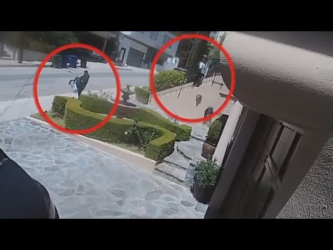 Thieves Burglarize Hollywood Hills Home In Broad Daylight