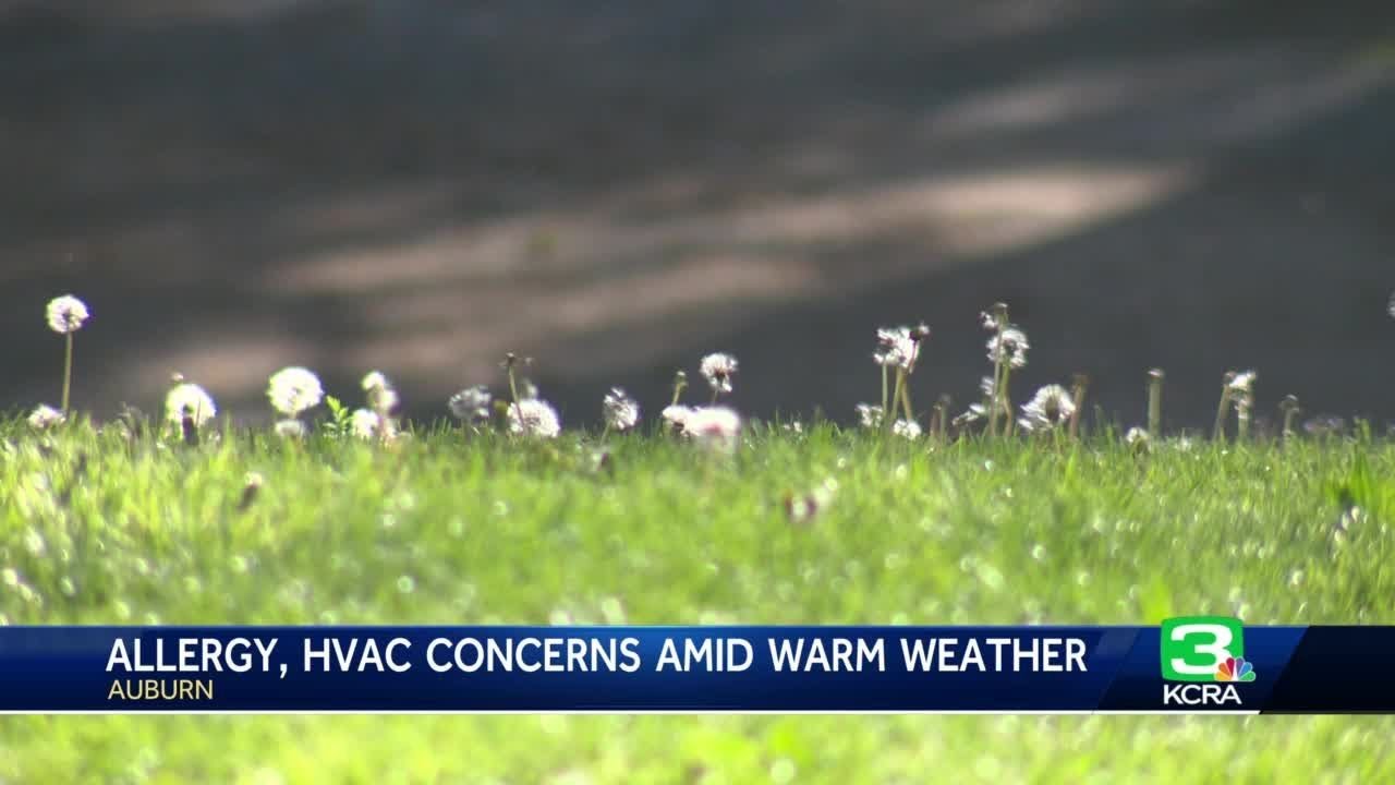 Warmer weather after wet winter in northern California leads to 'heavy allergy' season 1 Warmer Weather After Wet Winter In Northern California Leads To ‘heavy Allergy’ Season