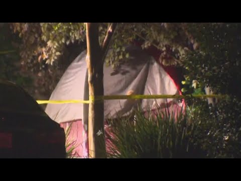 3rd Stabbing In Davis Leaves Victim In Critical Condition