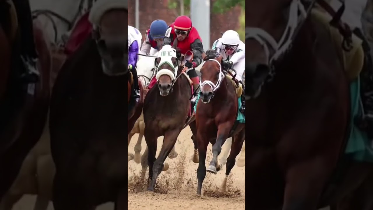 4 Horses Have Died Since Kentucky Derby Opening Night #shorts
