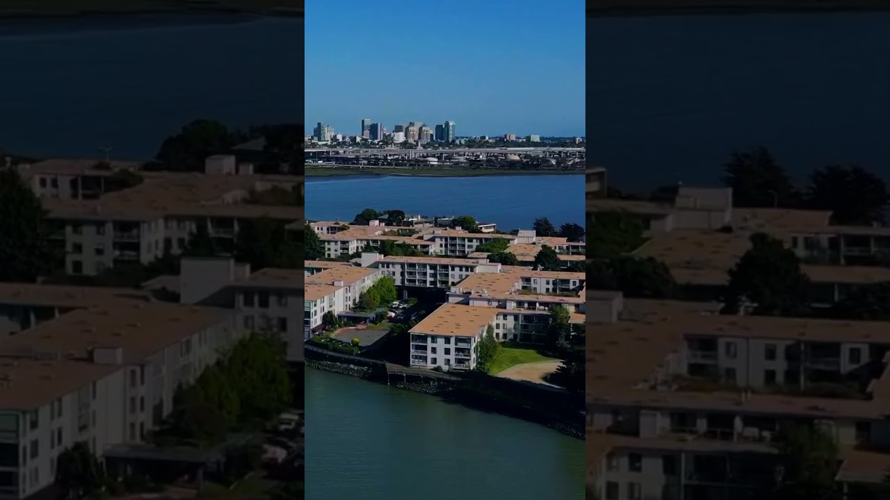 Bay Area Views #marina #apartments #oakland #emeryville