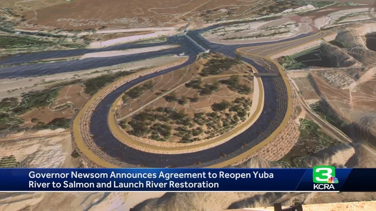 California pledges to build channel for threatened fish to bypass Gold Rush-era dam 1 California Pledges To Build Channel For Threatened Fish To Bypass Gold Rush Era Dam