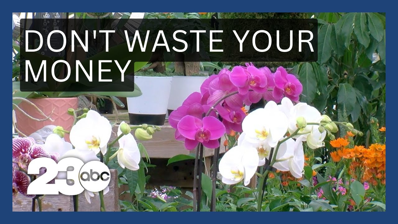 Flowers And Plants For Mom | Don’t Waste Your Money