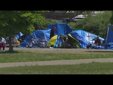 Growing Encampment And City Response Causes Concerns For People Near Hubbard Homestead Park