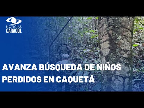 Los Mensajes Que Les Envían A Niños Desaparecidos En Selva Del Guaviare