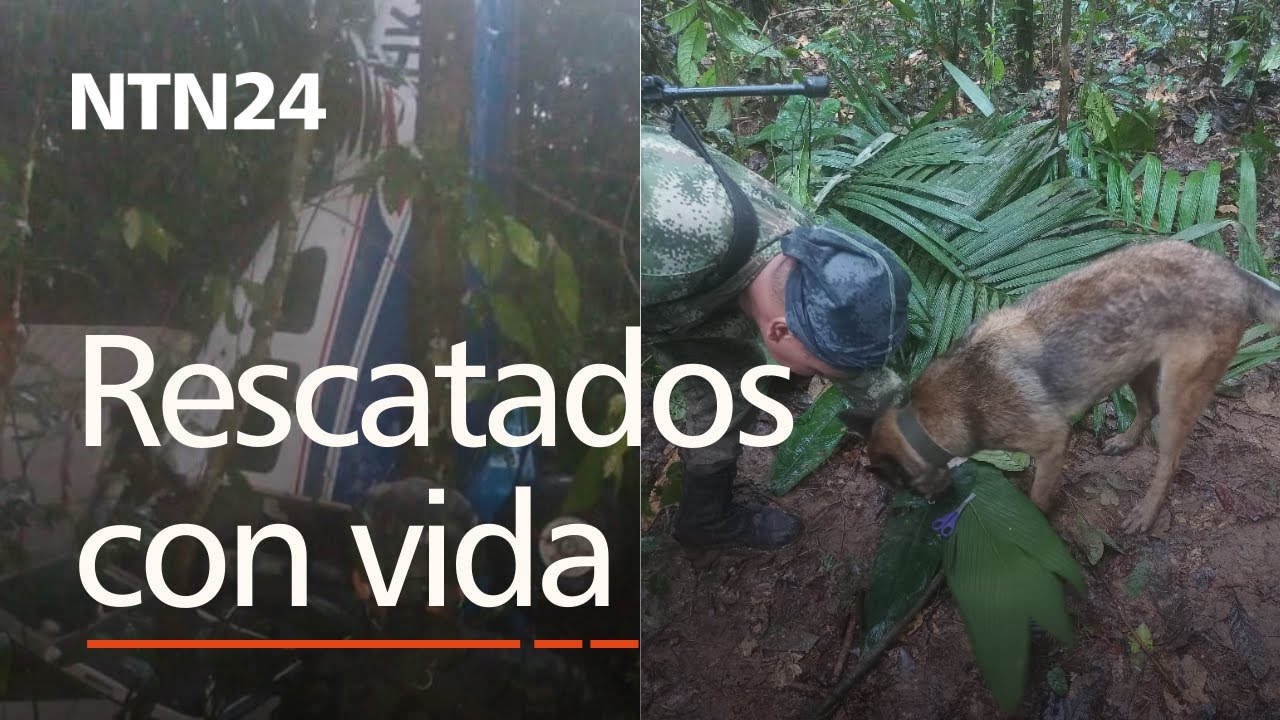 ¡milagro! Hallan Con Vida A Los Cuatro Niños Desaparecidos En El Accidente De Avioneta En Colombia