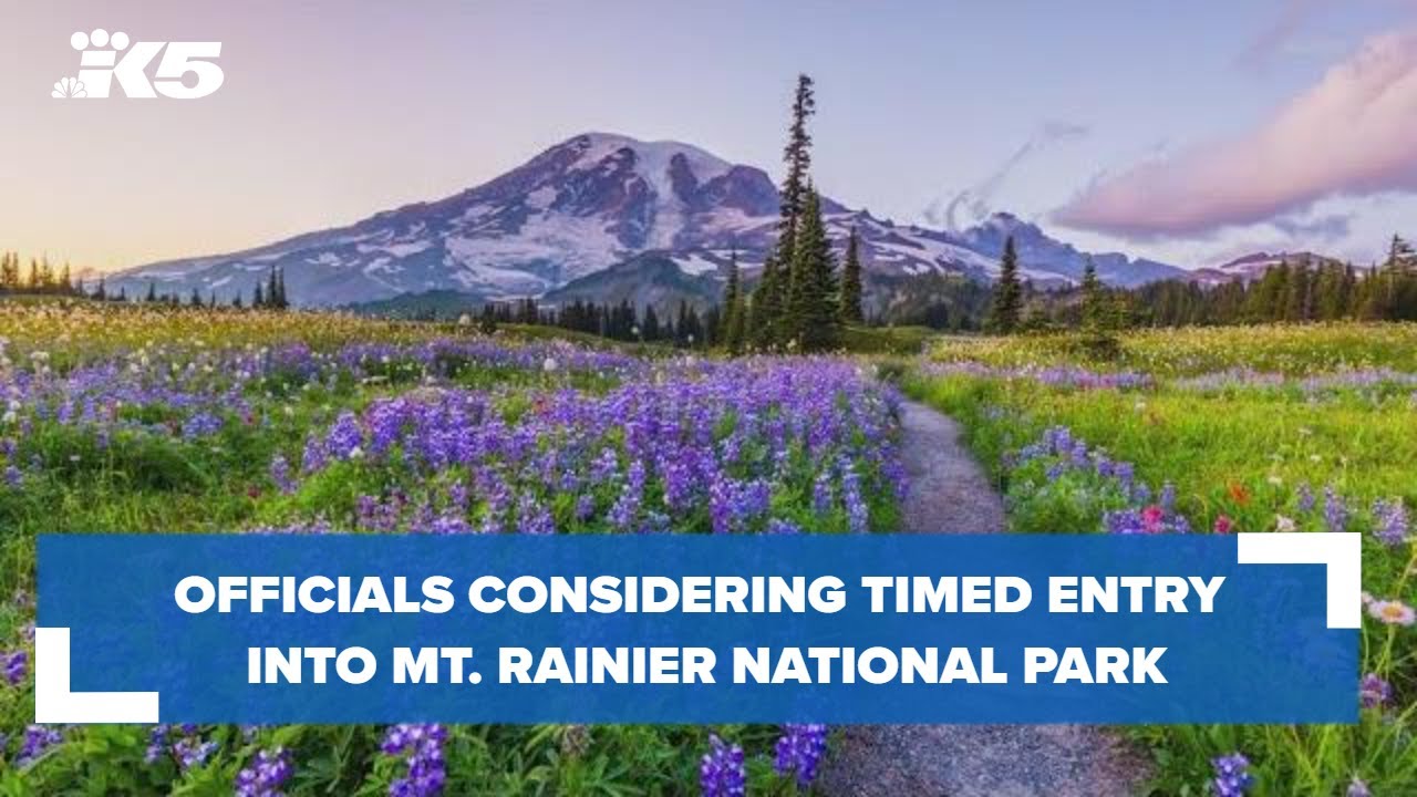 Officials Considering Timed Entry Into Mt. Rainier National Park