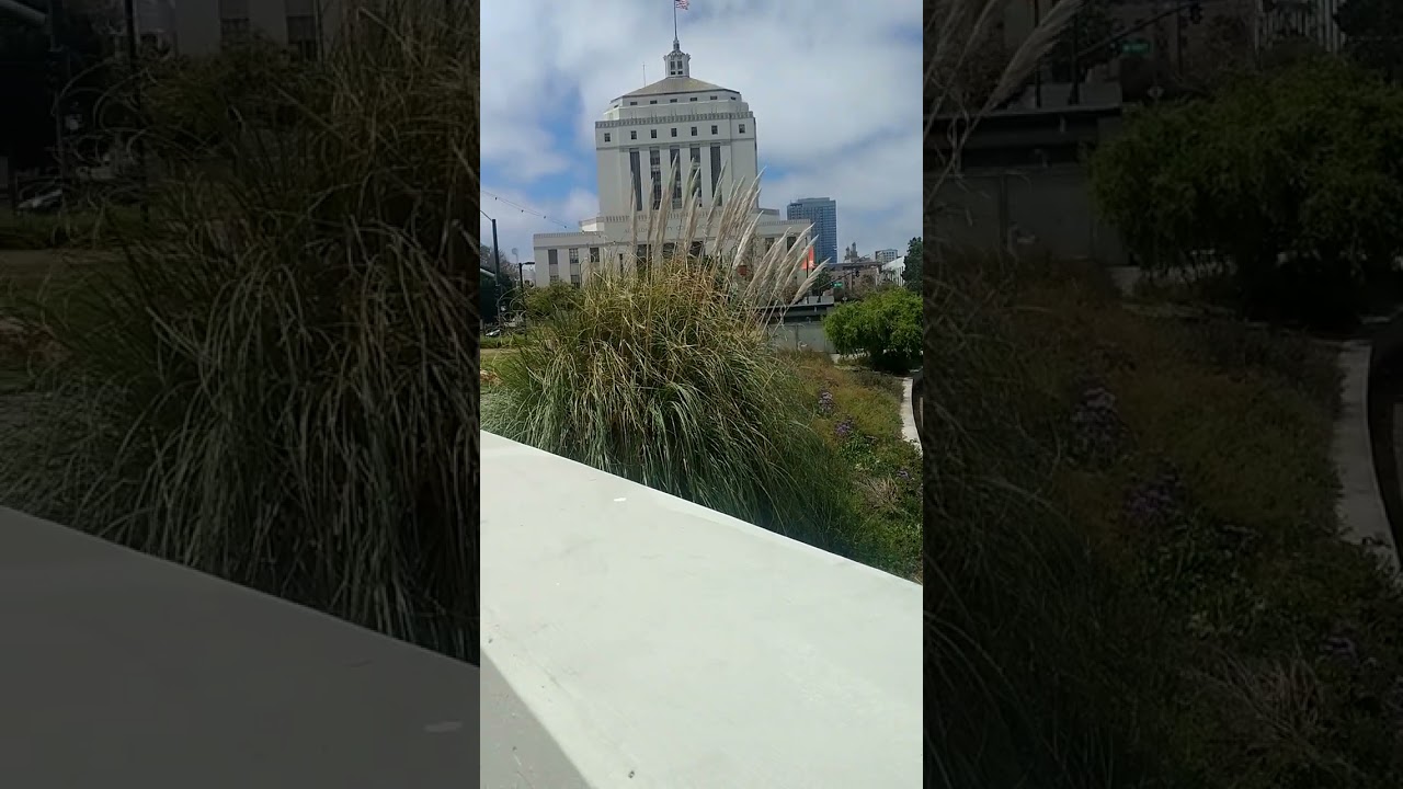 Playing Theonlyaybe At Oakland Lake Merritt