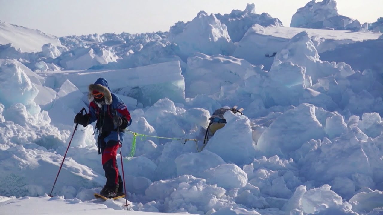 Polar Explorer’s Inspiring Story, “lucky” Dog’s Chance Discovery And More Uplifting News