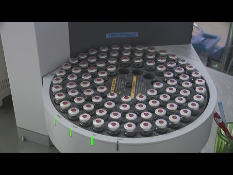 Portland lab is the first in Oregon licensed to test legal psilocybin mushrooms 1 Portland Lab Is The First In Oregon Licensed To Test Legal Psilocybin Mushrooms