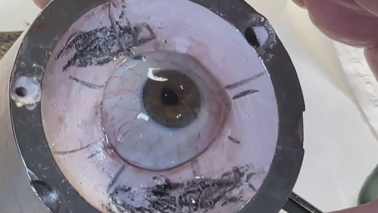 San Jose Ocularist Uses Technology, Artistry To Make Ultra Realistic Eye Prostheses