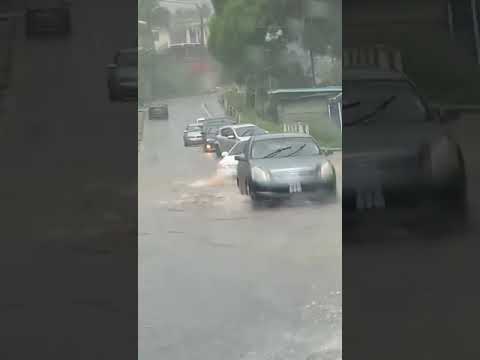 Santa Cruz Old Road, You Need A Boat To Pass. Nbstt News Live.