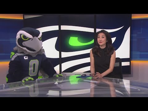 Seahawk Blitz hoping to be inducted into the Mascot Hall of Fame 1 Seahawk Blitz Hoping To Be Inducted Into The Mascot Hall Of Fame