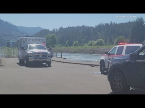 Teen Swimmer Presumed Drowned After Jumping Off Footbridge Near Columbia River