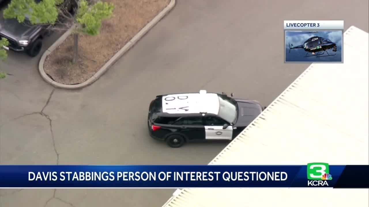 Watch: Person Of Interest Detained After 3 Stabbings, Police Say