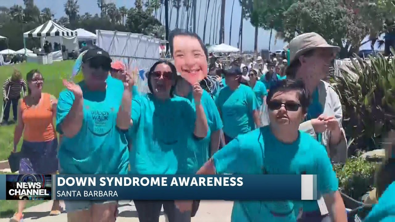 11th Annual Buddy Walk And Festival Raises Awareness About Down Syndrome