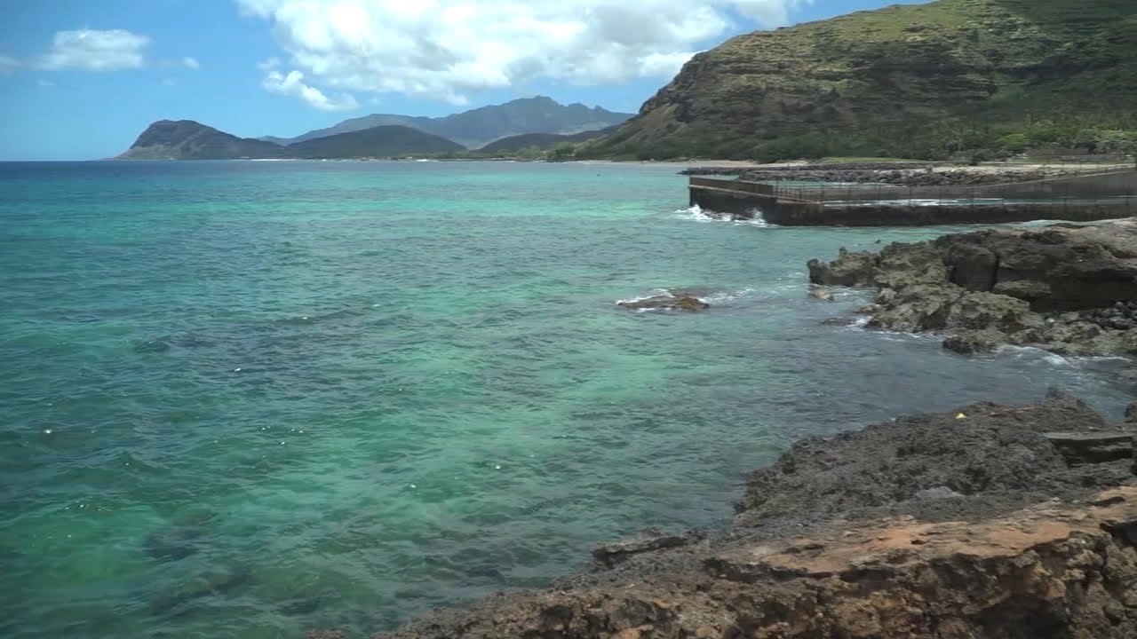 California man on honeymoon drowns; thieves steal couple's belongings in Hawaii, friends say 1 California Man On Honeymoon Drowns; Thieves Steal Couple’s Belongings In Hawaii, Friends Say