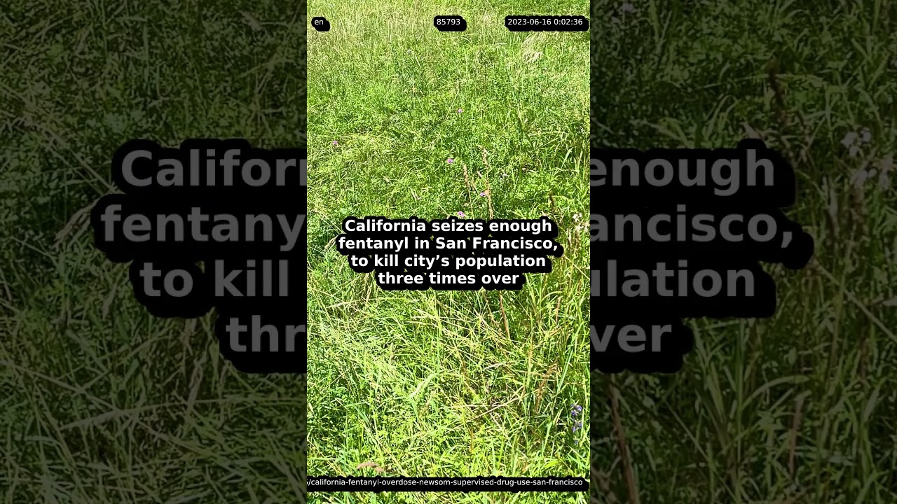 California Seizes Enough Fentanyl In San Francisco To Kill Citys Population Three Times Over