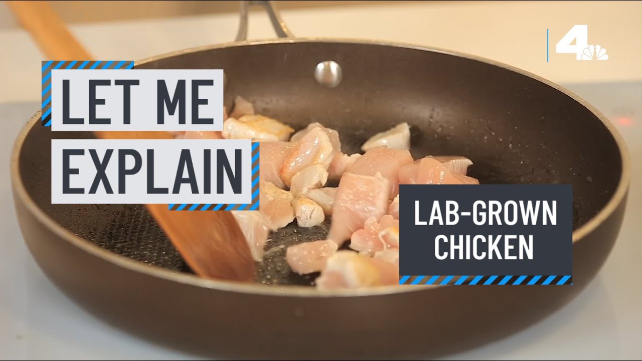 Let Me Explain: Lab Grown Chicken | Nbcla