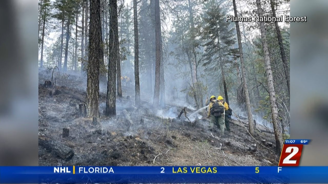 Lightning Strike Sparks Fire In Plumas National Forest