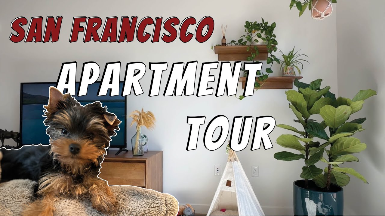 Living In A $5100/month San Francisco 2 Bed (apartment Tour)