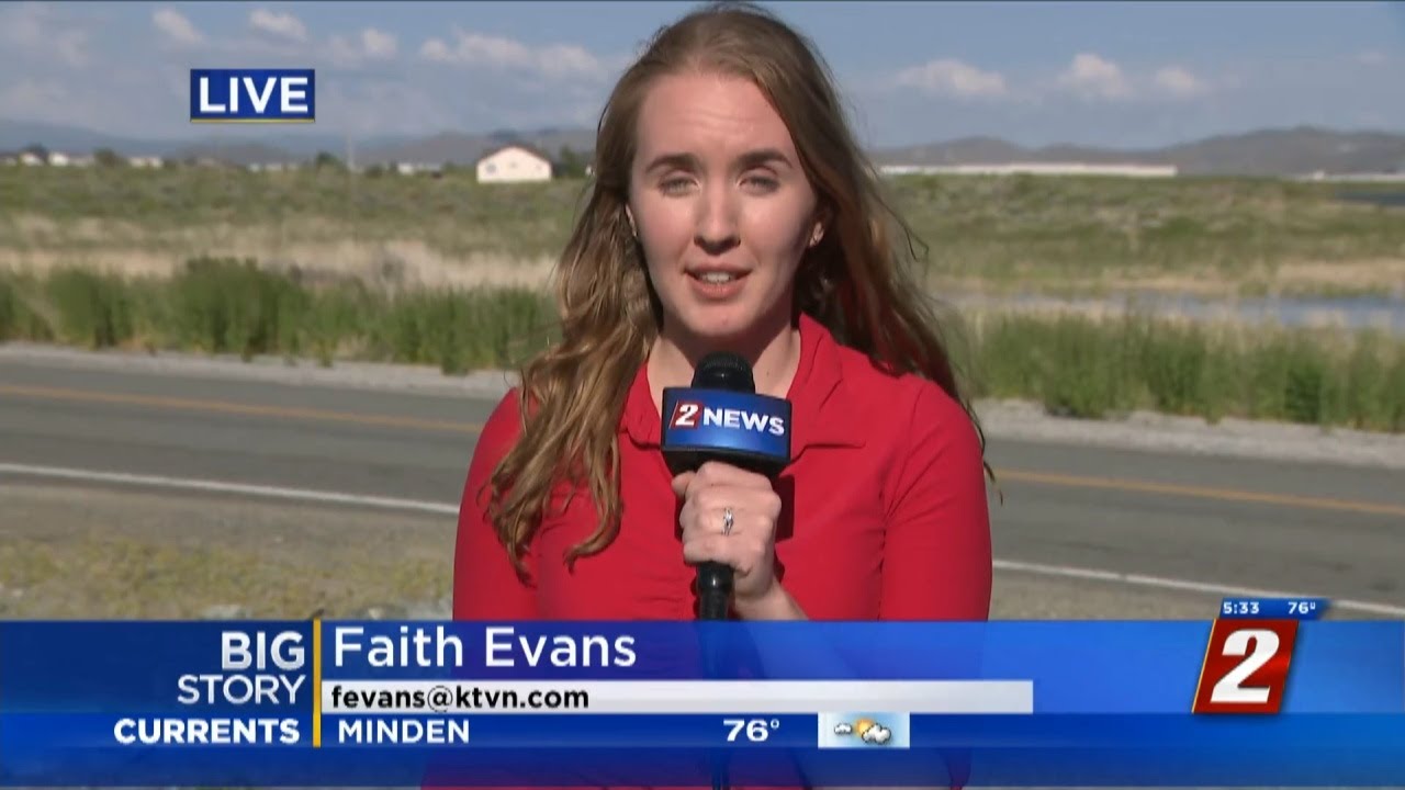 Mormon Crickets Hatching Early In Northern Nevada