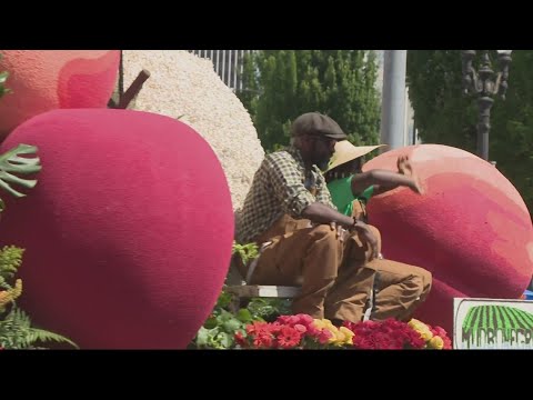 Portland Man Arrested After Driving Through Portland’s Grand Floral Parade Route