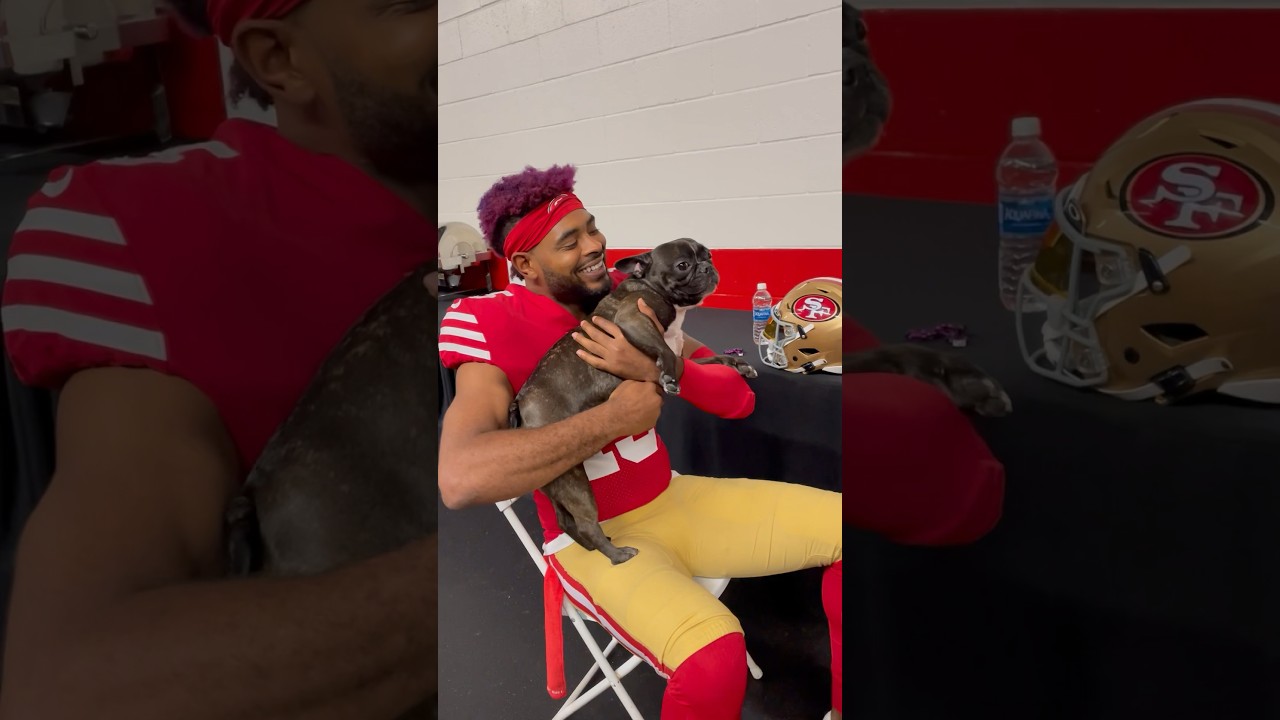 Real Dawgs 🐾 #49ers #shorts #frenchies #jauanjennings