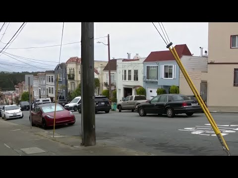 SFPD officer fatally shoots man suspected of killing woman dog in Richmond District 1 Sfpd Officer Fatally Shoots Man Suspected Of Killing Woman Dog In Richmond District