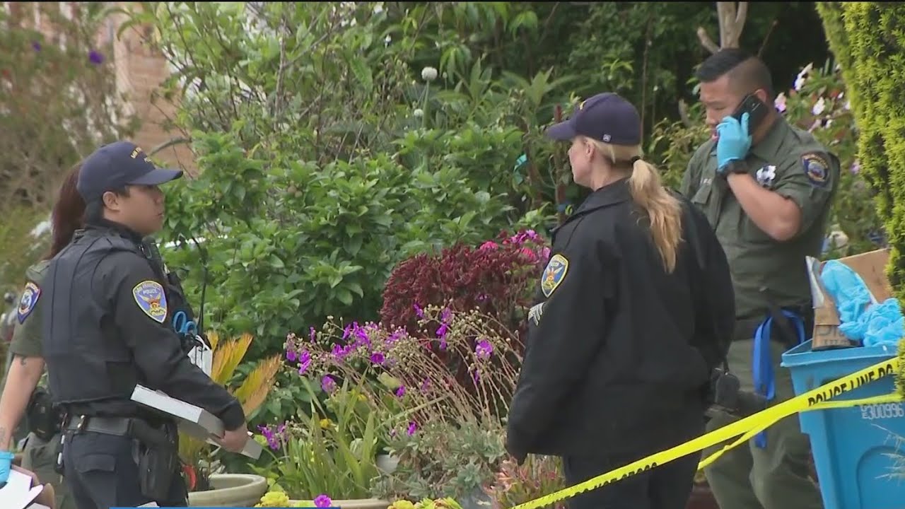 SFPD: Officer fatally shoots man suspected of killing elderly woman dog in Richmond District 1 Sfpd: Officer Fatally Shoots Man Suspected Of Killing Elderly Woman Dog In Richmond District