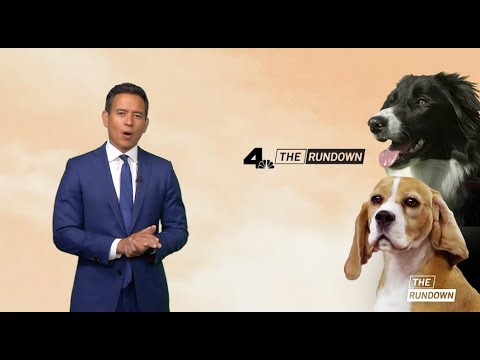 The Rundown: Monday June 16 2023 | Nbcla