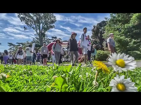 Aids Walk Brings Thousands To Golden Gate Park