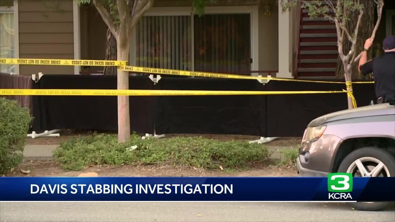 Davis Domestic Violence Stabbing