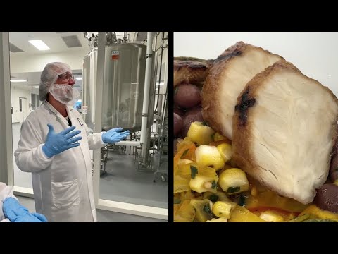 East Bay Labs Work To Create The Future Of Meat