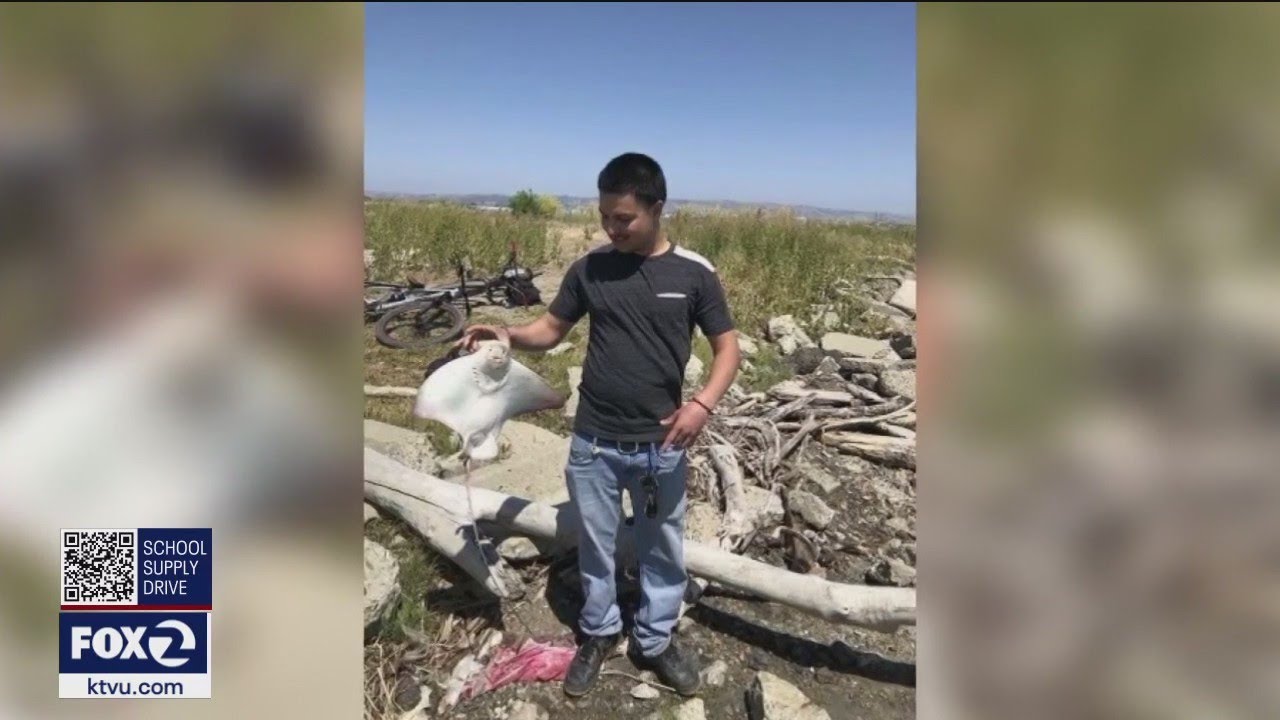 Family demands release of bodycam video after Hayward man killed by law enforcement 2 Family Demands Release Of Bodycam Video After Hayward Man Killed By Law Enforcement