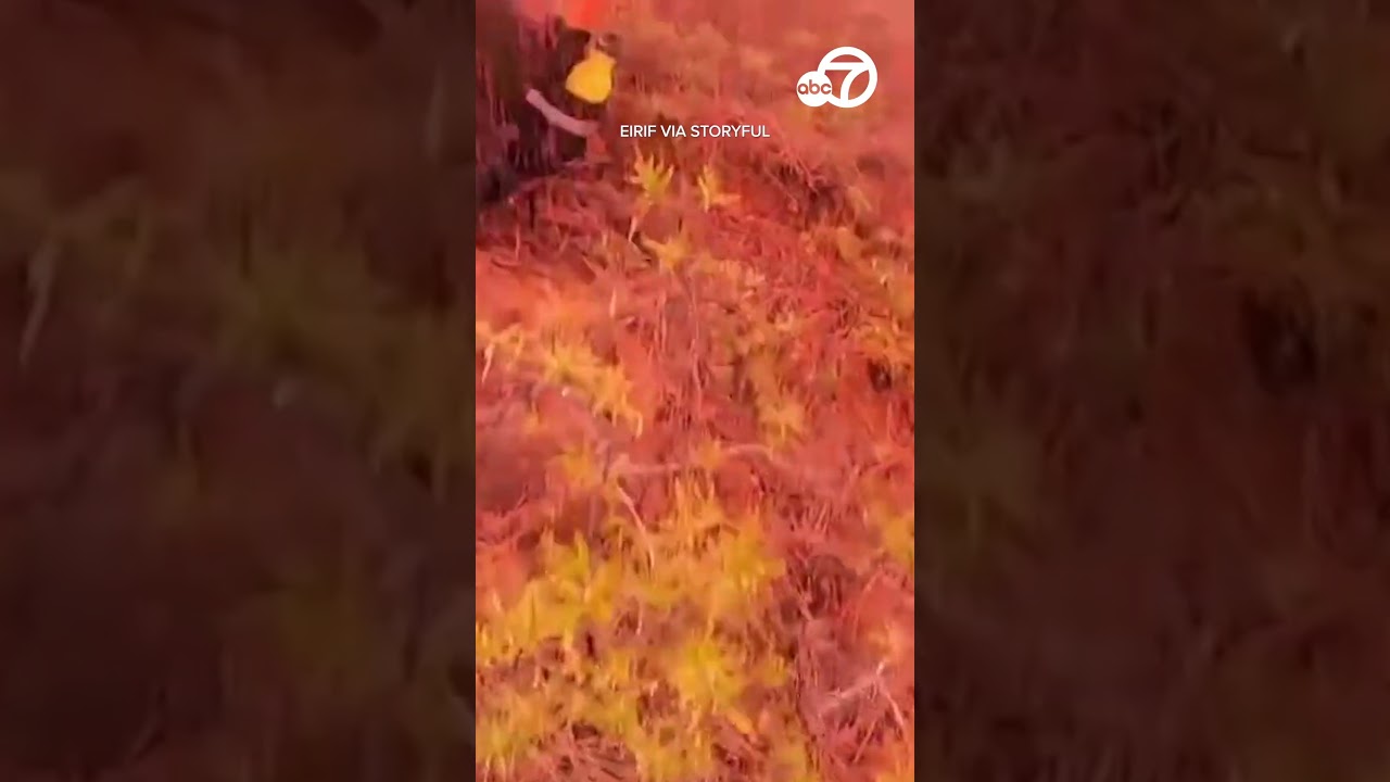 Firefighters Battling Wildfire Doused By Retardant Drop In Canary Islands