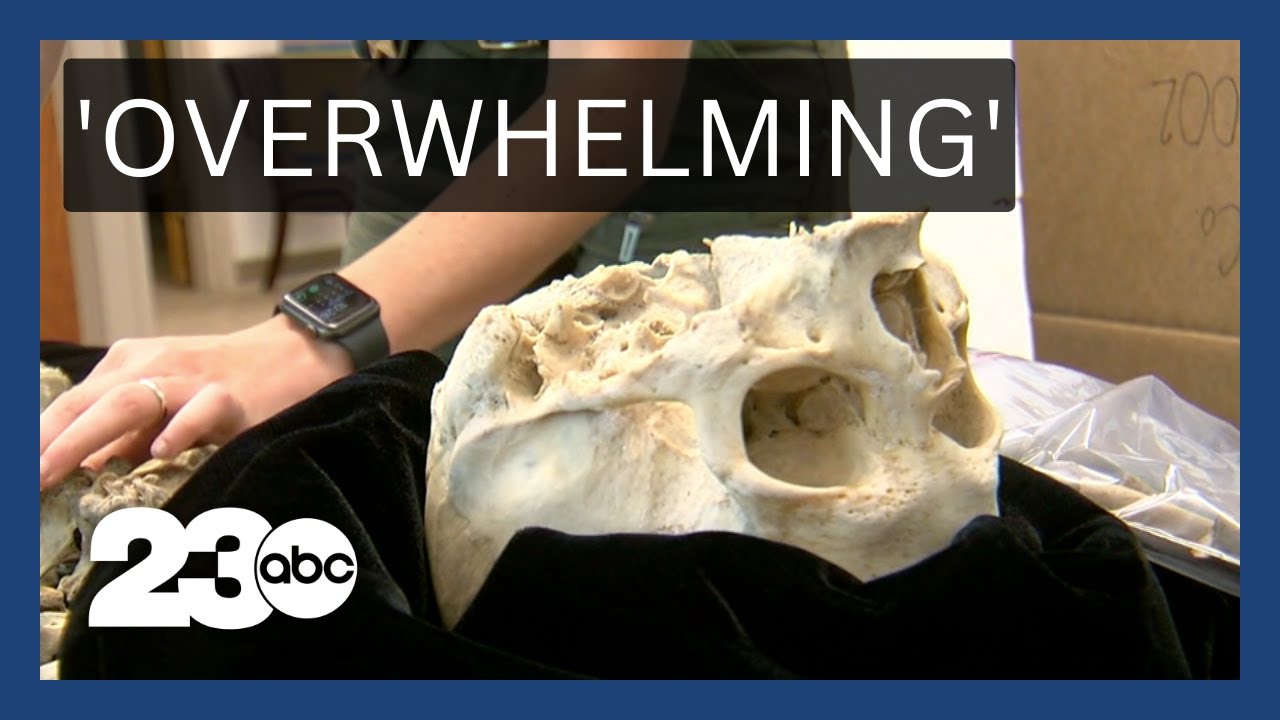 Forensic anthropologist works to close cold cases 2 Forensic Anthropologist Works To Close Cold Cases