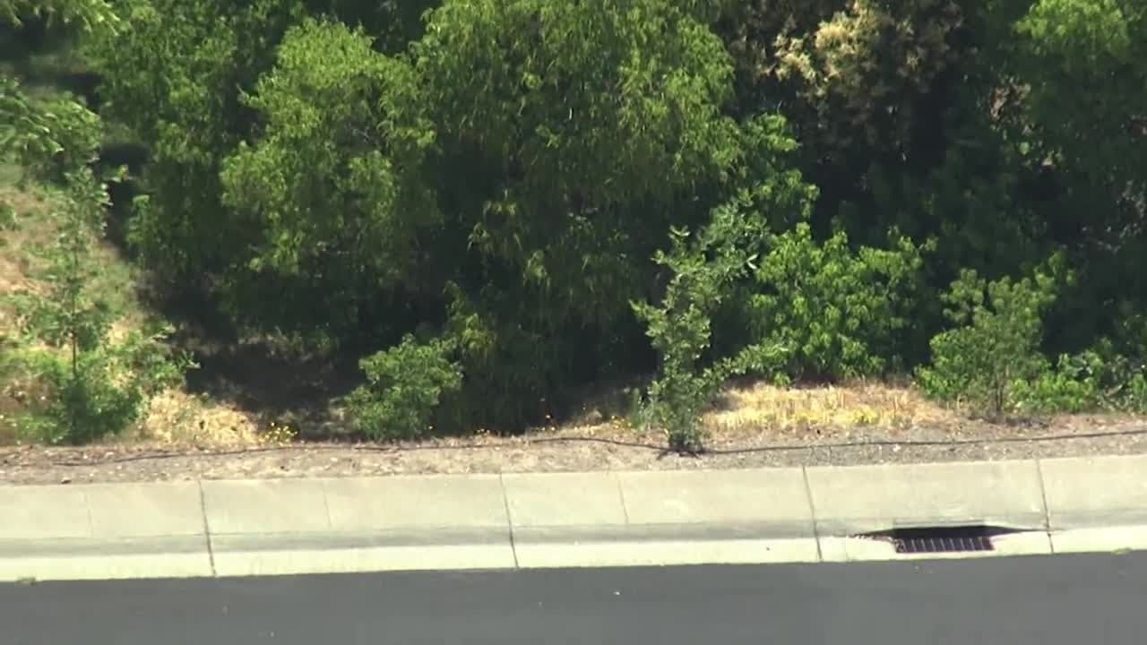 Livecopter 3 Captures Manhunt For Eric Abril Escaped Suspect From Mahany Park Shooting