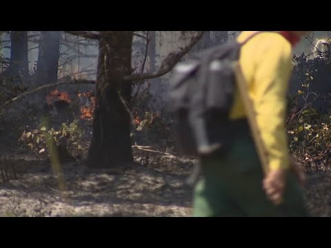 ‘we’re In Trouble’: Officials Concerned About Wildfire Risk This Summer After Mcewan Fire