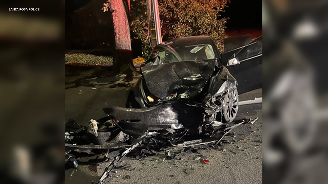 13 Year Old Ca Girl Steals Parents’ Tesla, Crashes Into Several Parked Cars, Utility Pole: Police