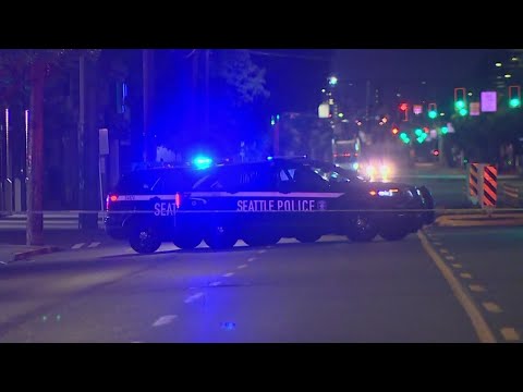 Business owners react to 2 shootings within 24 hours in SODO neighborhood 2 Business Owners React To 2 Shootings Within 24 Hours In Sodo Neighborhood